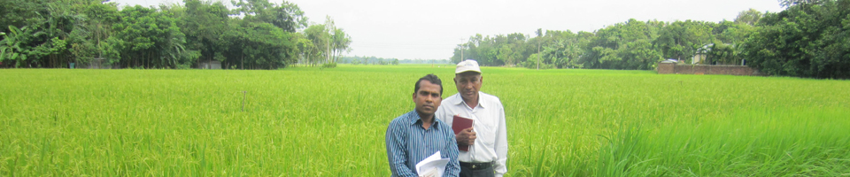 কৃষিপ্রধান দেশ আমাদের এই বাংলাদেশ।