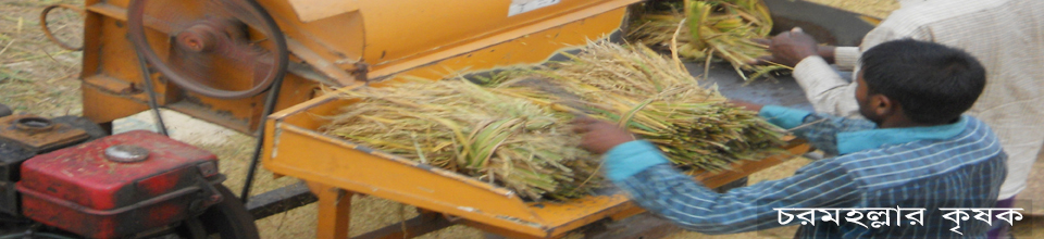 চরমহল্লার কৃষক