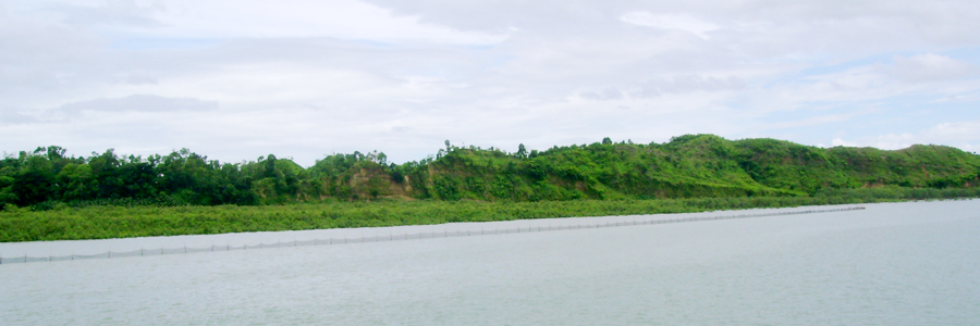 নদীর তীরে ইউনিয়ন