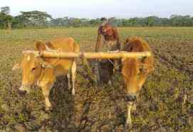 ভূমি অফিস