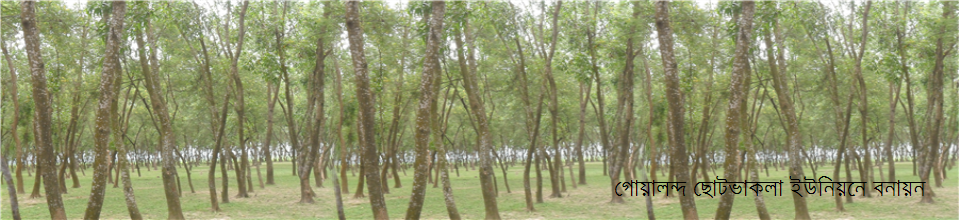 ছোটভাকলা ইউনিয়ন পরিষদ