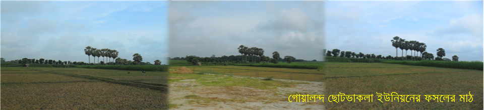 ছোটভাকলা ইউনিয়ন পরিষদ