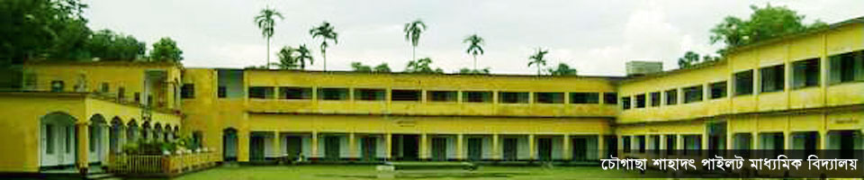 চৌগাছা শাহাদৎ পাইলট মাধ্যমিক বিদ্যালয়