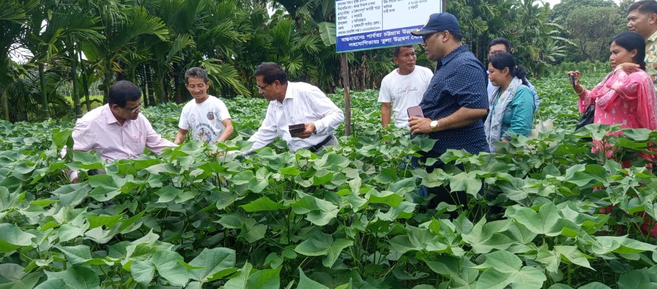 পার্বত্য চট্টগ্রাম উন্নয়ন বোর্ড এর তুলা প্রকল্প পরিদর্শন করেন পার্বত্য চট্টগ্রাম বিষয়ক মন্ত্রণালয় এর মাননীয় সচিব মো: আব্দুল মালেক