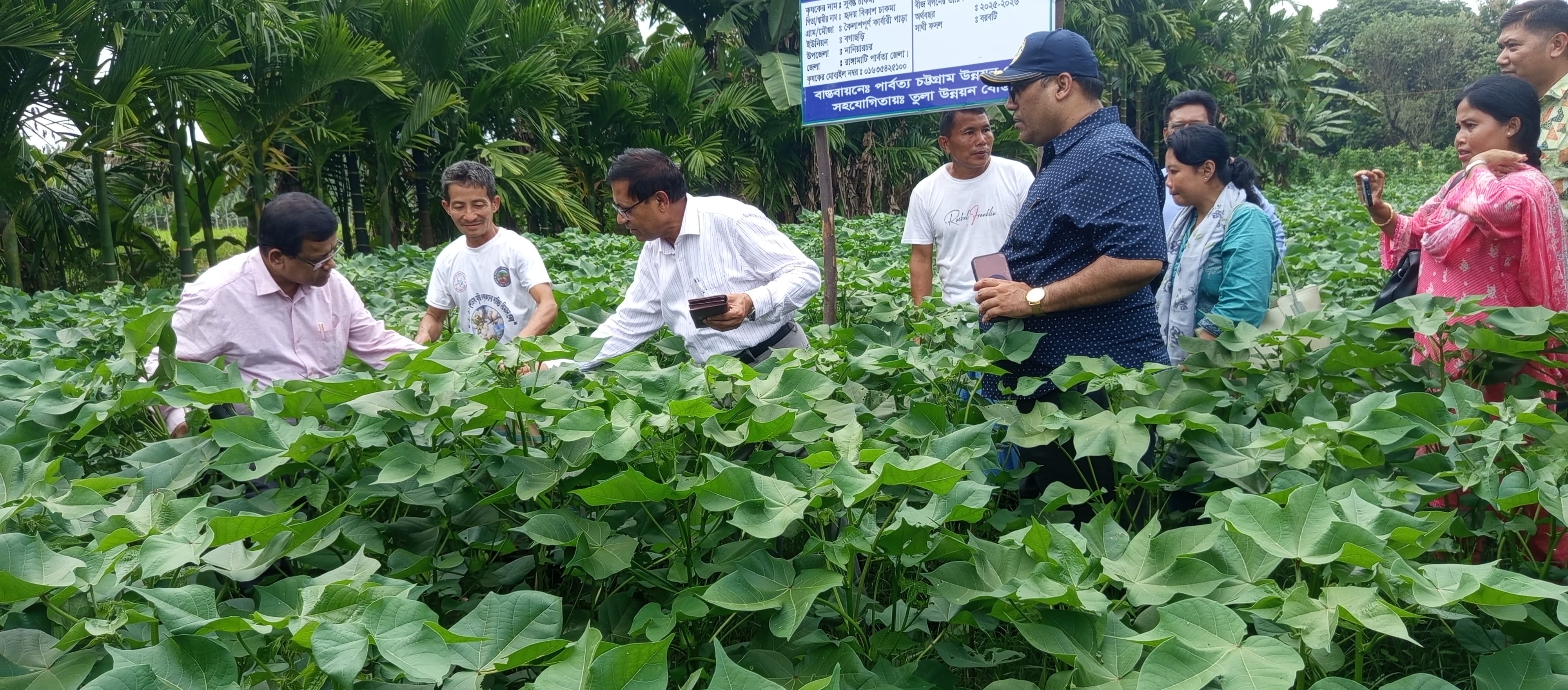 পার্বত্য চট্টগ্রাম উন্নয়ন বোর্ড এর তুলা প্রকল্প পরিদর্শন করেন পার্বত্য চট্টগ্রাম বিষয়ক মন্ত্রণালয় এর মাননীয় সচিব মো: আব্দুল মালেক