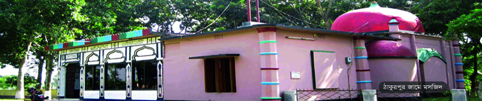 ঠাকুরপুর জামে মসজিদ