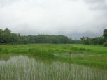 ভূমি অফিস