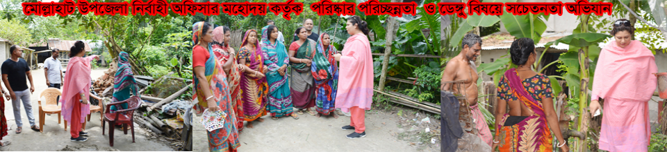 উপজেলা নির্বাহী অফিসার কর্তৃক পরিষ্কার পরিচ্ছন্নতা ও ডেঙ্গু বিষয়ে সচেতনতা