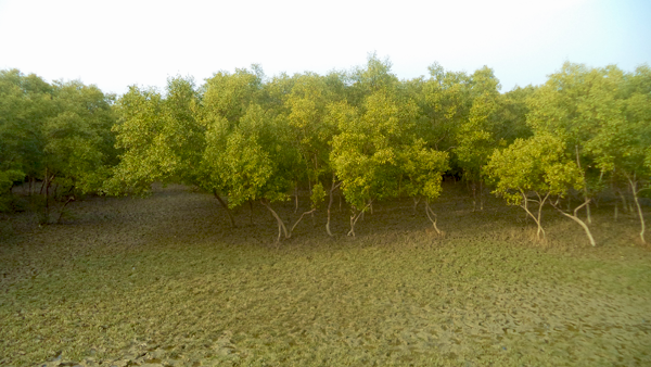 ব্যানার ২