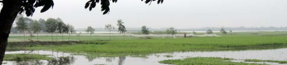 ইসলামপুর