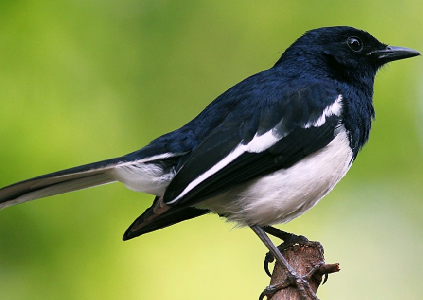 উপজেলা সমবায় অফিস রাজাপুর,ঝালকাঠি