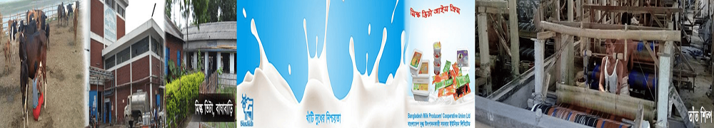 মিল্ক ভিটা