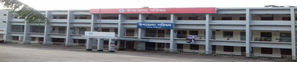 উপজেলা পরিষদ