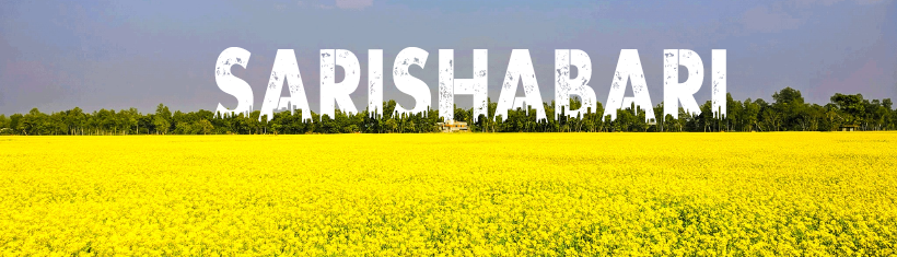 সরিষা ফুল