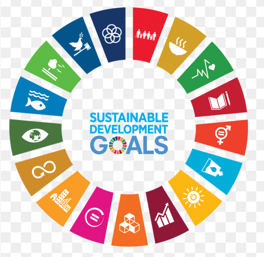 এস ডি জি (SDG)