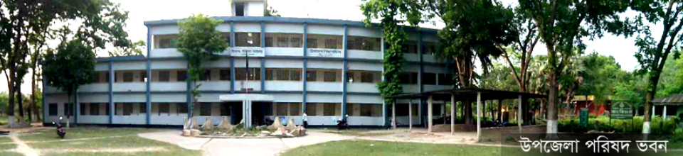 আলমডাঙ্গা