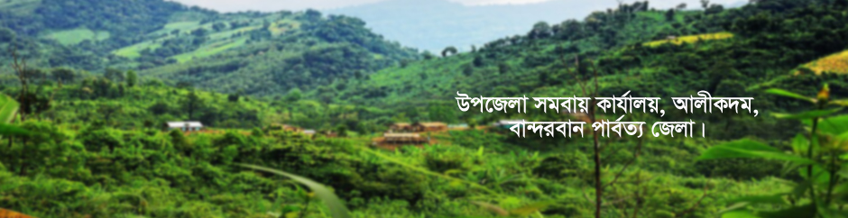 উপজেলা সমবায় কার্যালয়, আলীকদম