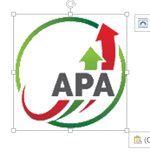 বার্ষিক কর্মসম্পাদন চুক্তি (APA)