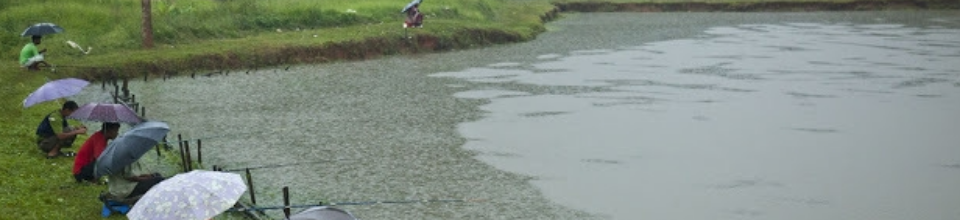 কুশিয়ারা নদী