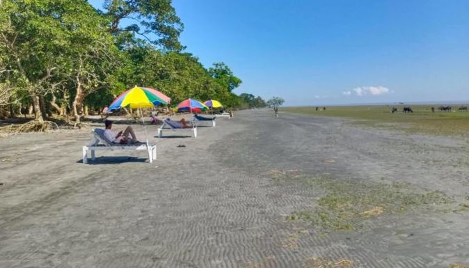 চর কুকুরী মুকুরী