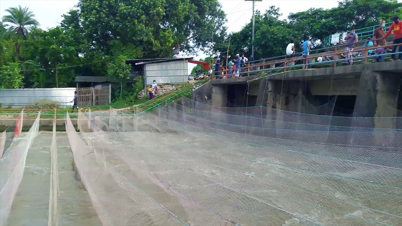 বড়াল ব্রিজ