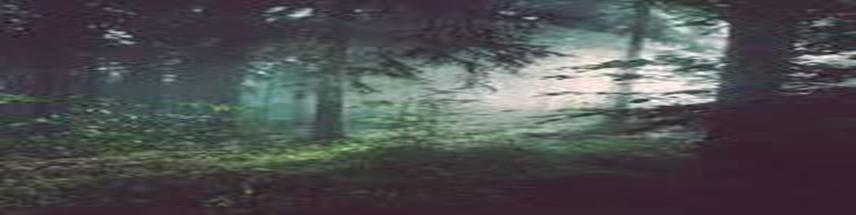 রেমা কালেঙ্গা ফরেষ্ঠ