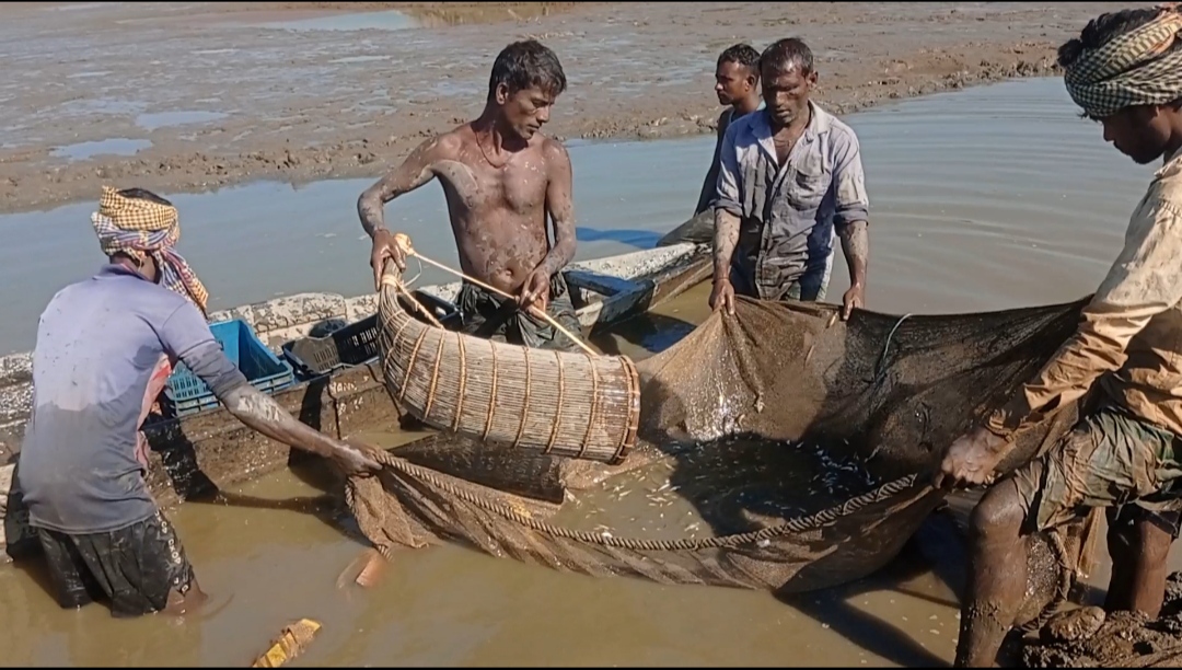 ব্যানার