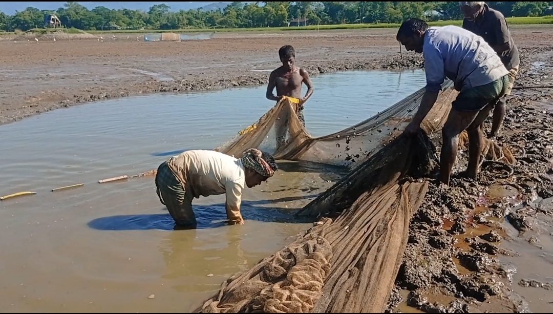 ব্যানার