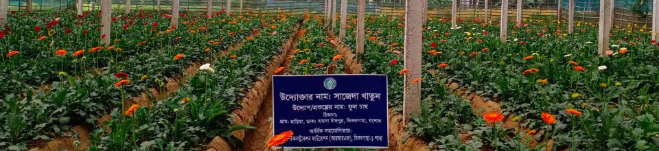 গদখালীর ফুলের বাগান