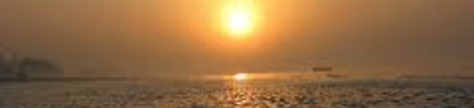 কলাপাড়া উপজেলা সমবায়