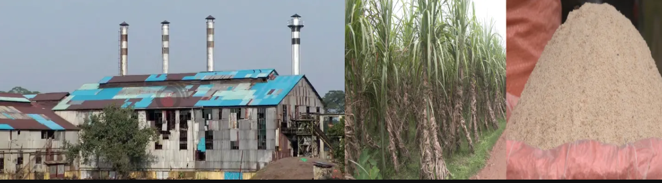 মোবারকগঞ্জ চিনিকল, কালীগঞ্জ, ঝিনাইদহ