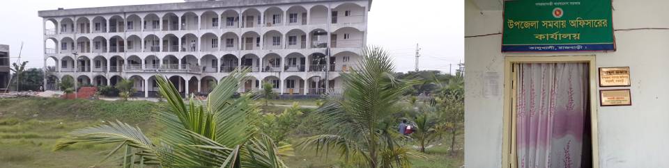 উপজেলা সমবায় অফিস