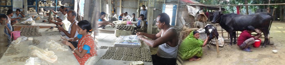 সমবায় কার্যক্রম