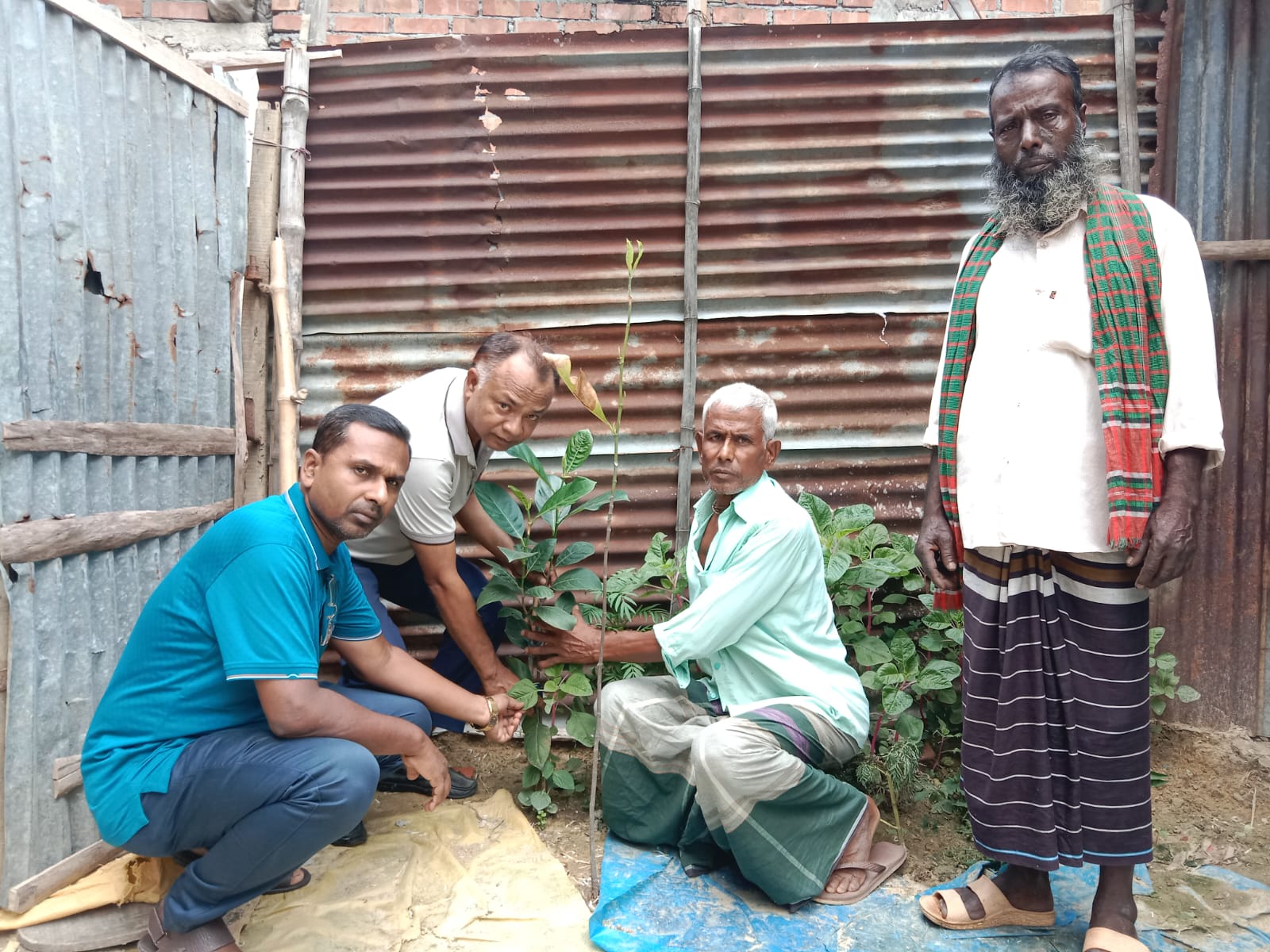 বৃক্ষরোপণ কর্মসূচী