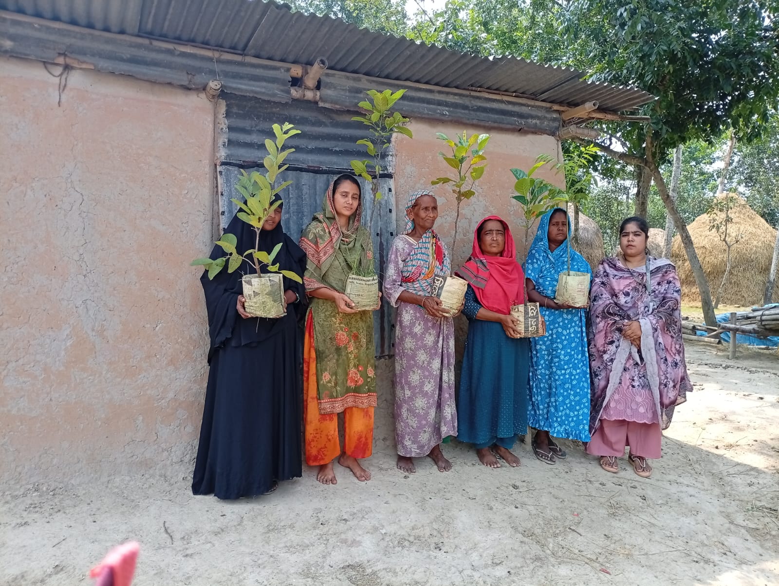 বৃক্ষরোপণ কর্মসূচী