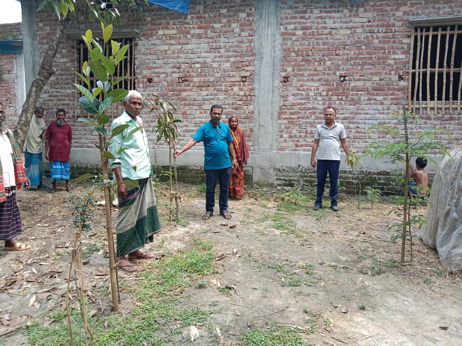 বৃক্ষরোপণ কর্মসূচী