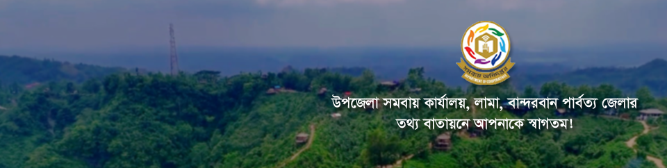 লামা উপজেলা