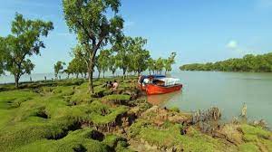 কলাতলীর ছবি