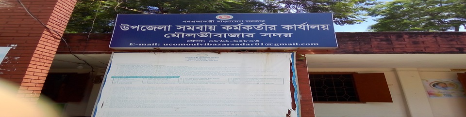 ব্যানার