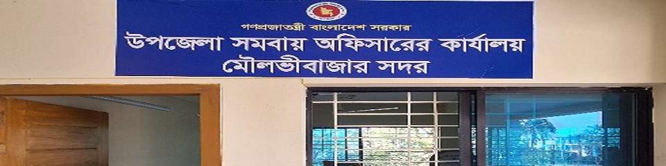 ব্যানার