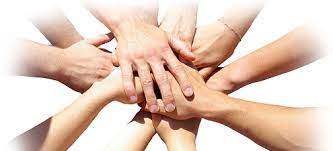 নিবন্ধিত সমবায় সমিতির তথ্য