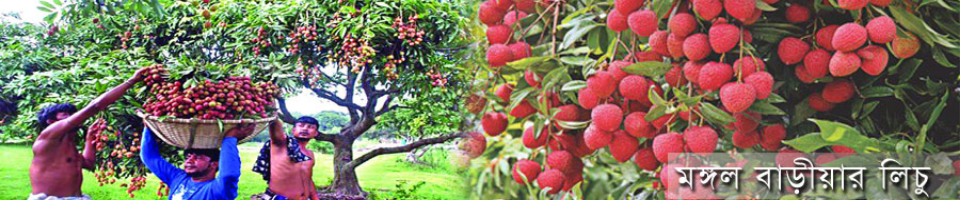 ব্যানার