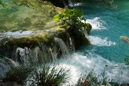 উপজেলা সমবায় কার্যালয় রামু,কক্সবাজার