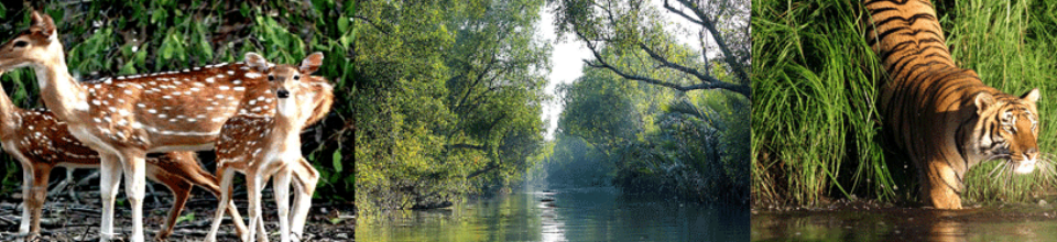বাগেরহাট এর ঐতিহ্য