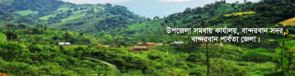 উপজেলা সমবায় কার্যালয়, বান্দরবান সদর