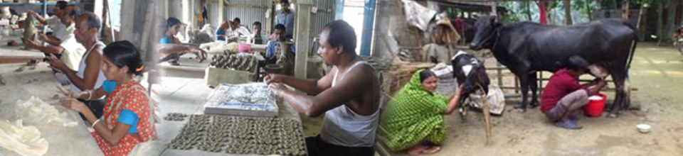 গাভী পালন প্রকল্প