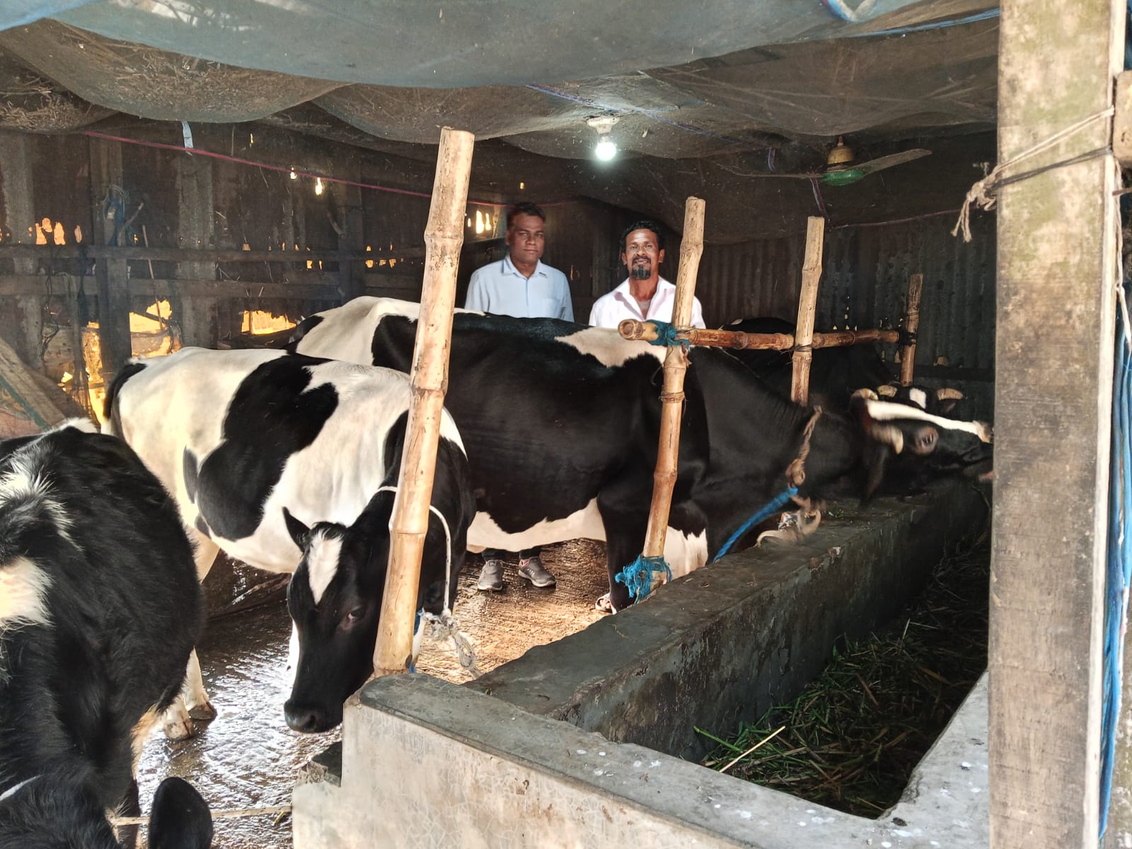 কাজী নেছার আহমেদ