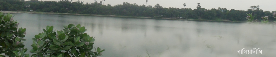 বালিয়াদীঘী জলকর