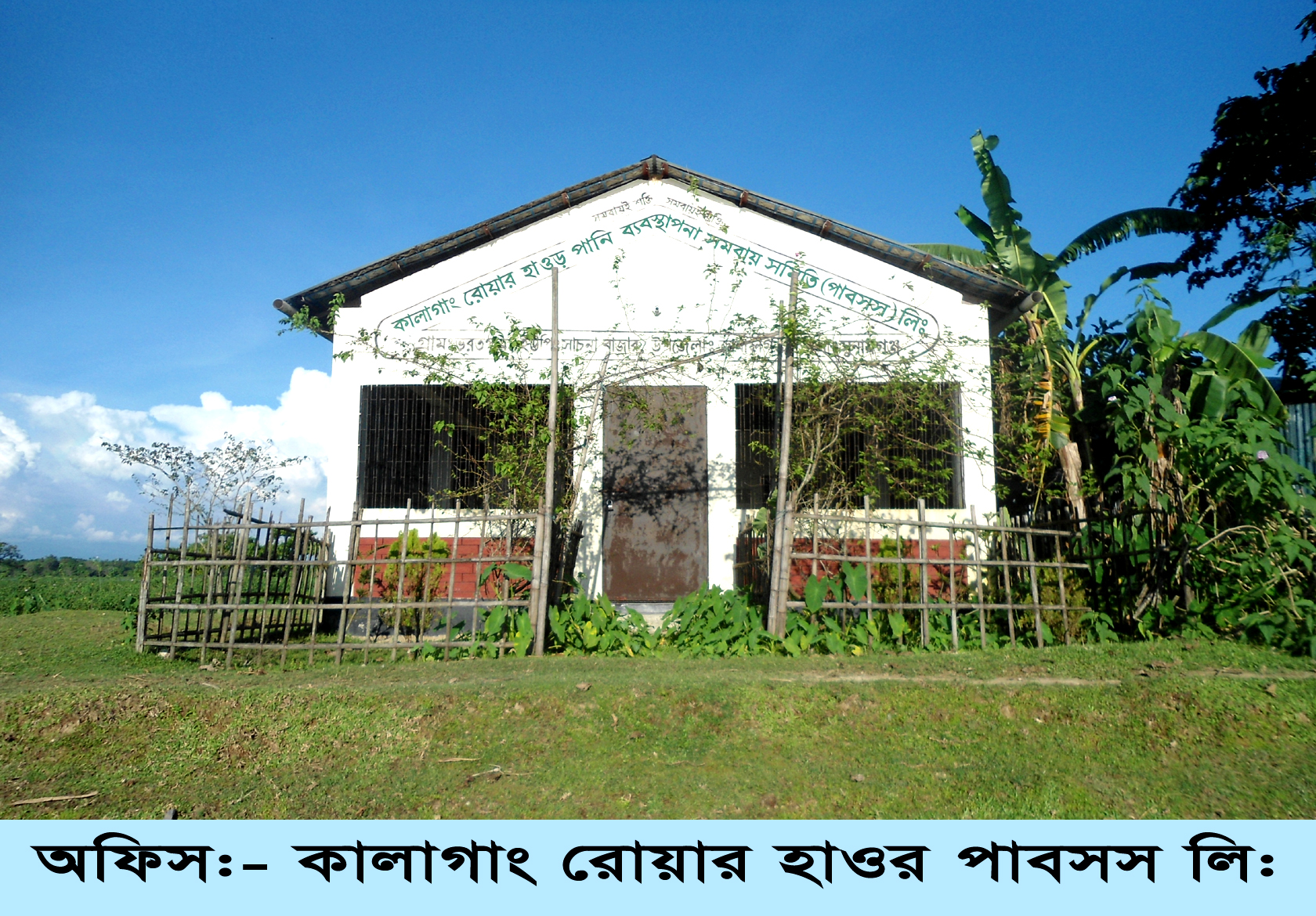 ব্যানার 1