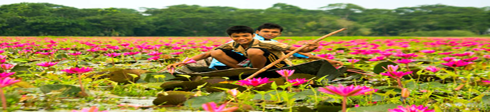 সাতলা বিল , উজিরপুর, বরিশাল।